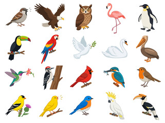 Fototapeta premium A collection of various colorful bird species illustrated in a flat vector style.