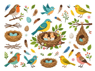 Obraz premium Collection of colorful songbirds nests eggs and feathers in watercolor style.