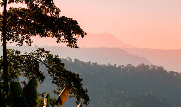 Low light during dusk. Silhouette foreground is half trees and background is mountains covered with dense forest. Which are rich in ecosystem.