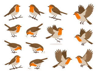Fototapeta premium A collection of various robin bird illustrations in different poses and actions.