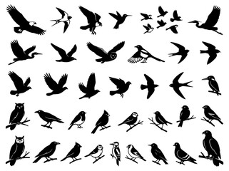 Obraz premium A collection of diverse bird silhouettes in various flying and perched poses.