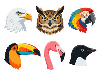Fototapeta premium A collection of six detailed bird head illustrations featuring an eagle owl parrot toucan flamingo and penguin.