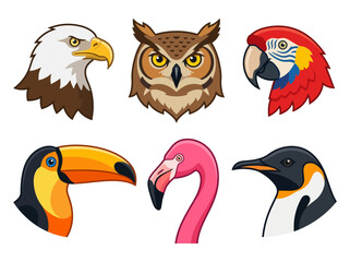 Fototapeta premium A collection of six colorful bird head illustrations featuring an eagle owl parrot toucan flamingo and penguin.