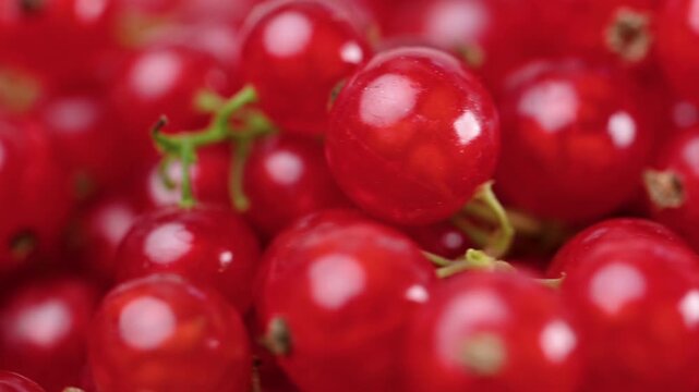 video of red currants