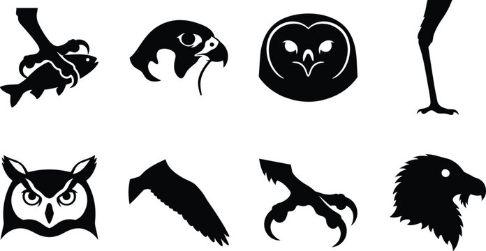 Black and white silhouette vector set of birds of prey featuring eagles, owls, talons, and wings.