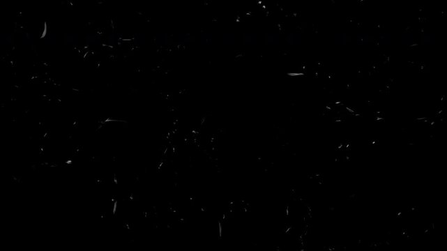 Doodle noise on old damaged film with vintage grit and scratches