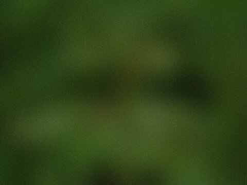 Abstract blurred background with soft dark green tones and grainy texture.