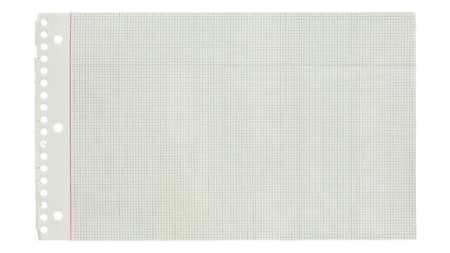 A single sheet of grid paper with holes from a spiral notebook for school work isolated on transparent background