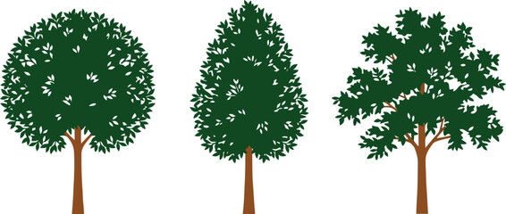 Three different types of green trees illustration © Israt