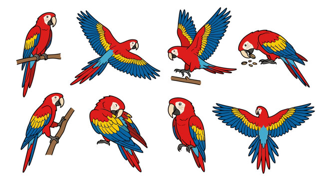 Collection of colorful scarlet macaw parrots in various poses and flight positions.