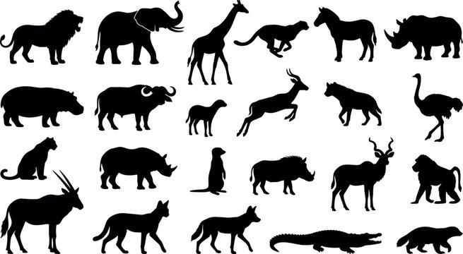 African safari wildlife animals black silhouettes collection isolated on white background for design elements