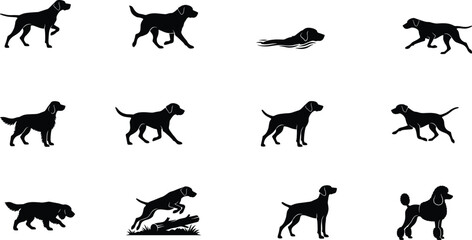 Obraz premium Dog Breed Silhouette Collection Featuring Hunting Sporting and Companion Canine Poses Isolated on White Background
