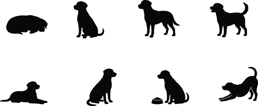 Dog Behavior and Pose Silhouette Collection Featuring Sitting Standing Sleeping Playing and Feeding Canine Illustrations Isolated on White