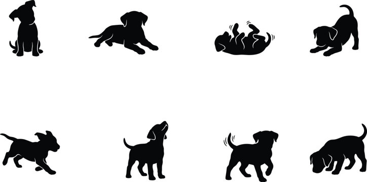 Playful Puppy and Dog Behavior Silhouette Collection Featuring Sitting Running Barking Rolling and Play Bow Poses