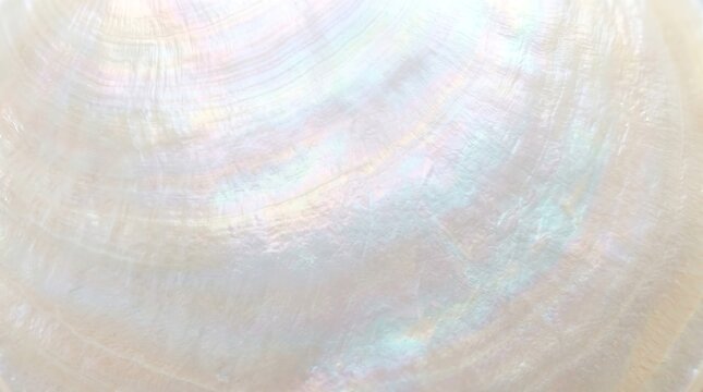 Mother of pearl texture background with iridescent light