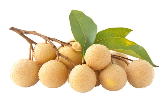 Fresh longan fruit cluster with green leaves isolated on transparent background