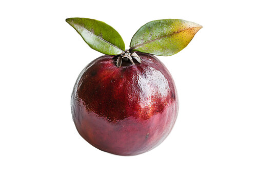 Fresh ripe purple star apple fruit with green leaves isolated on transparent background