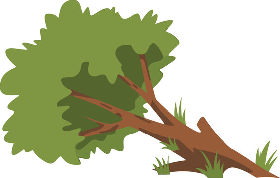 Fallen green tree vector illustration, cartoon broken plant on the ground representing storm damage or deforestation