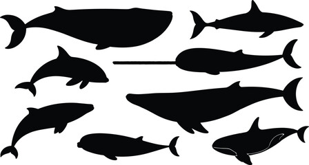 Whale and marine mammal silhouette vector illustration set with various ocean species like narwhal shark dolphin and orca for sea wildlife design. © Olivia