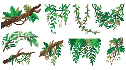 Detailed tropical hanging jungle vines and green foliage. © GW