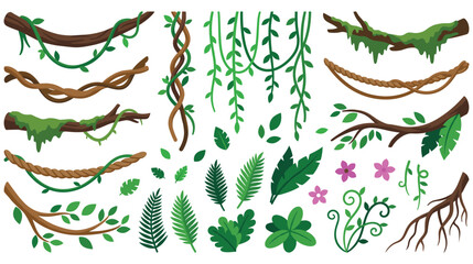 Tropical jungle liana vines and exotic foliage plant set. © GW