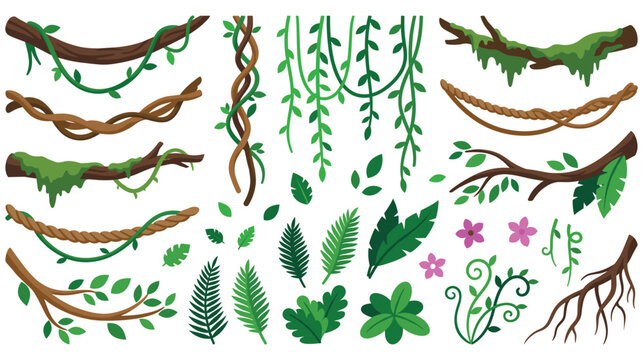 Tropical jungle liana vines and exotic foliage plant set.