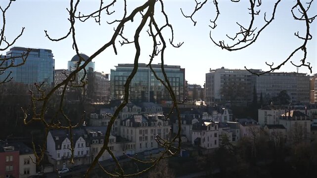 Panoramic view of the Luxembourg city skyline with historic residential houses nestled in a deep wooded valley