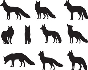 Obraz premium Fox Standing Pose Silhouette Vector Collection Isolated on White Background