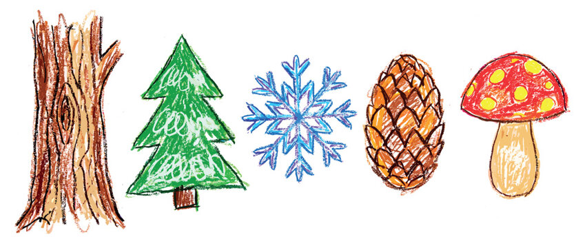 Nature elements icons set. Forest and winter season concept. Includes tree trunk, fir tree, snowflake, pine cone, mushroom. Hand-drawn crayon style