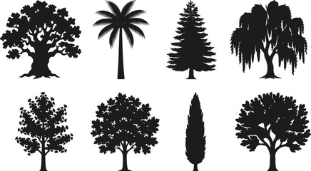 Fototapeta premium Collection of detailed black tree silhouettes including oak palm pine and willow icons isolated on white background