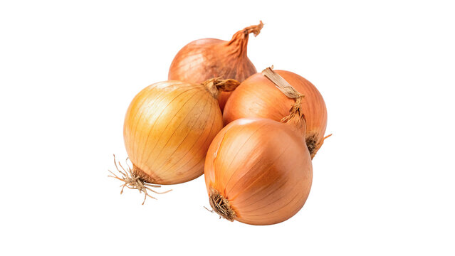 Three fresh organic raw yellow onions whole isolated on a transparent background vegetable ingredient