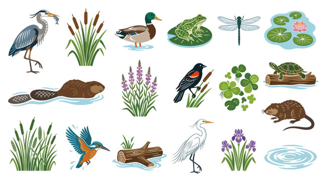Ecology Flat Vector Wetland Wildlife Animals and Freshwater Plants Icon Set
