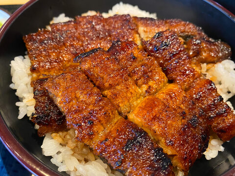 艶やかなタレが照る贅沢な鰻料理