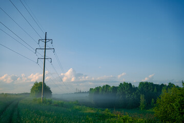 Naklejka premium Power lines extend across a vibrant green field towards a distant forest partially obscured by morning fog, showcasing utility infrastructure in a natural, open landscape under a clear blue sky