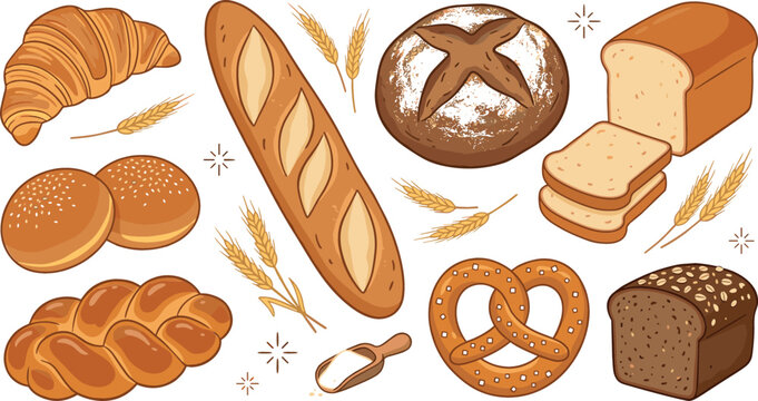 Bakery products vector collection featuring french baguette crispy croissant sliced toast bread rustic loaf bun pretzel chalos and wheat ears illustration