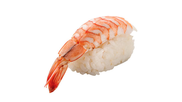 Single fresh shrimp sushi nigiri piece isolated on a transparent background traditional japanese seafood
