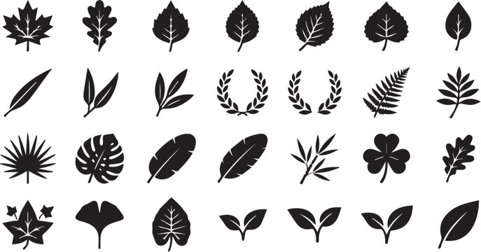 set of leaves