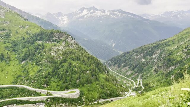 Alpine wildflower meadow overlooking switchback pass roads winding