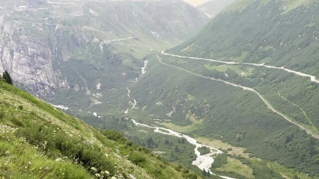 High alpine viewpoint above Gletsch looking down a steep wildflower