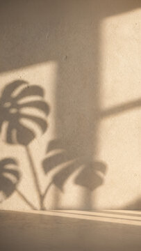 Textured beige limewash wall with blurry monstera leaf shadows.