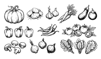 Fototapeta premium Hand Drawn Vegetable Doodle Set Sketch Vector Illustration