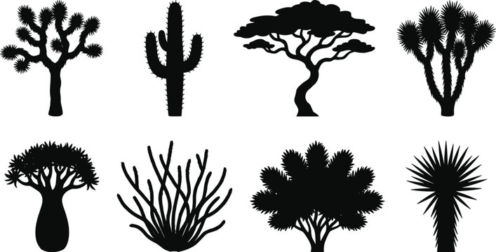 Desert Plant Silhouette Collection Featuring Cactus Joshua Tree Baobab and Exotic Trees Vector Set