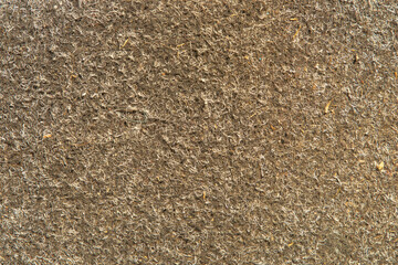 Texture background shows a surface with fine detail and organic patterns that create an interesting visual effect under natural light