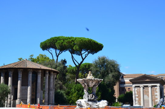 Rome Italy 09.05.2020: The Temple of Hercules Victor or Hercules Olivarius a Roman temple in Piazza Bocca della Verita and the Fountain of the Tritons