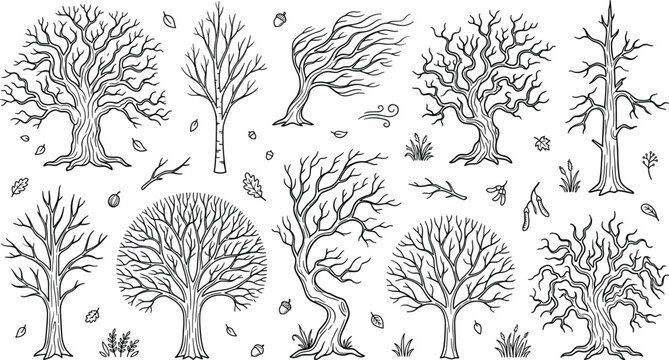 Hand Drawn Bare Winter Tree Vector Set with Detailed Branches Dead Wood and Windy Fall Forest Elements for Autumn Landscape Backgrounds