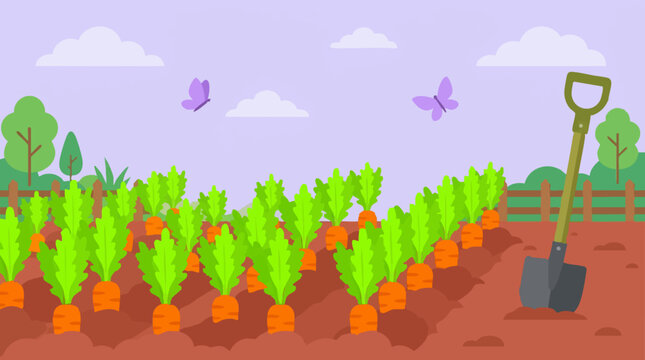 Cartoon illustration of a vibrant carrot field with a shovel and butterflies