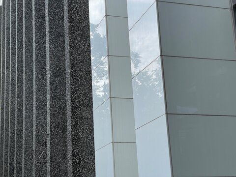 Close up architectural detail of glossy white building panels reflecting outdoor trees contrasted with a rough textured stone wall surface.