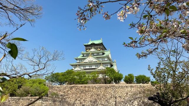 Historic Osaka Castle rises above its stone walls and moat beneath a clear blue sky in Osaka, Japan. A scenic travel destination framed by trees in early spring.