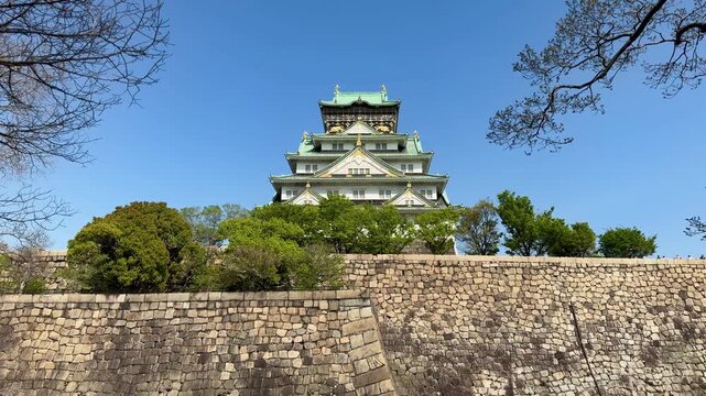 Historic Osaka Castle rises above its stone walls and moat beneath a clear blue sky in Osaka, Japan. A scenic travel destination framed by trees in early spring.