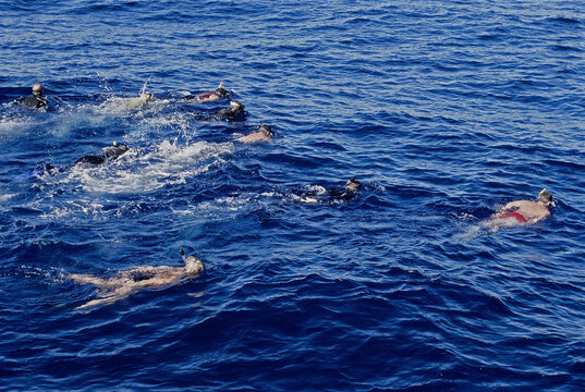 Group of snorkelers in tropical water.